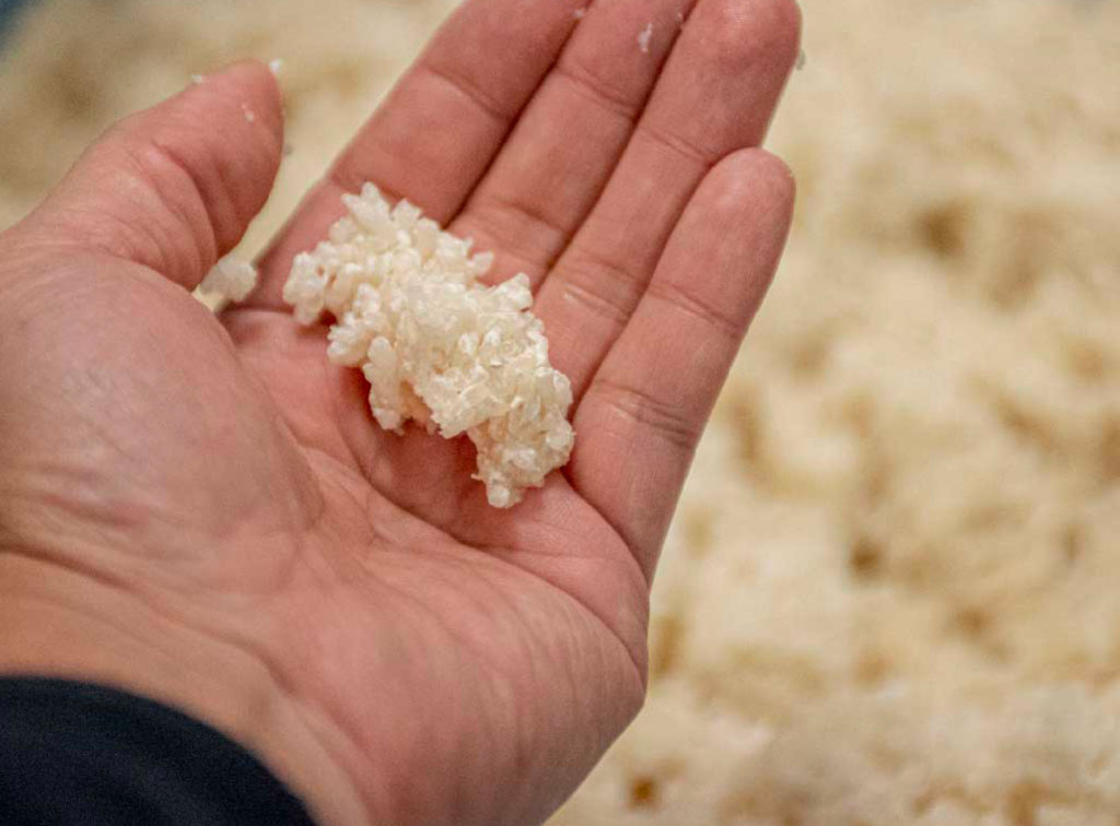 天然米麹